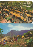 Livros/Acervo/M/POS MADEI 1